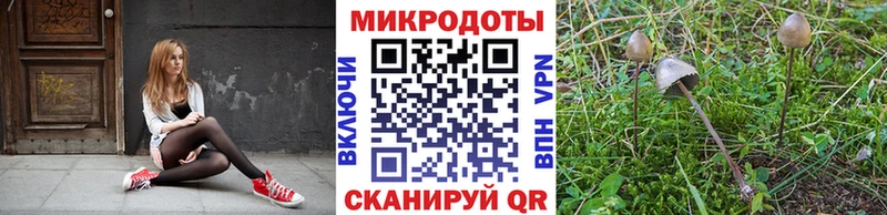 Галлюциногенные грибы мицелий  Горняк 